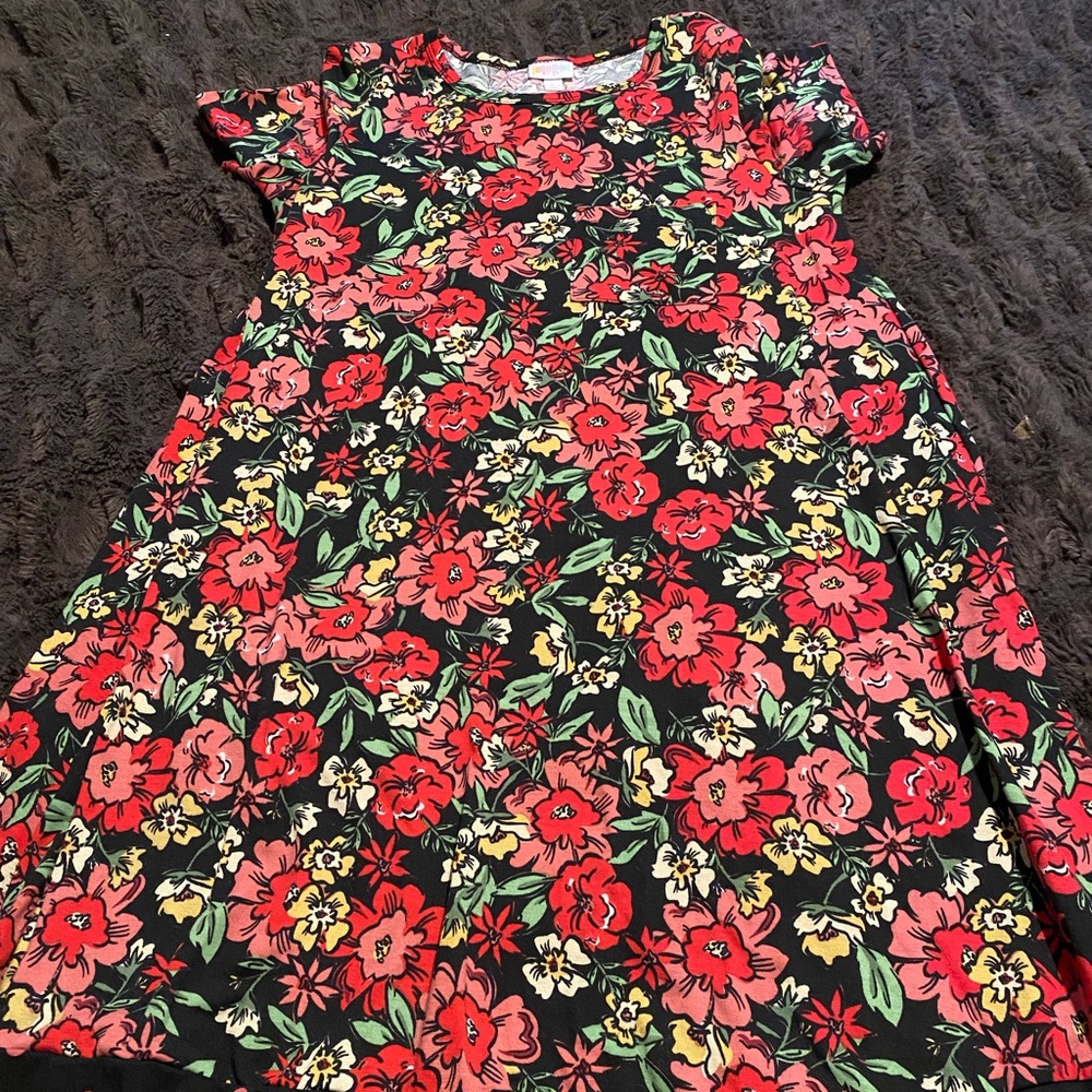 Floral lularoe Carly dress